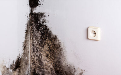 Penészes falak – A rejtett ellenség a lakásunkban