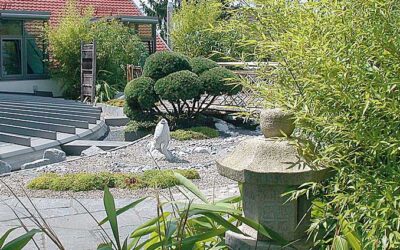 Zöldtető: avagy zöldül a tető